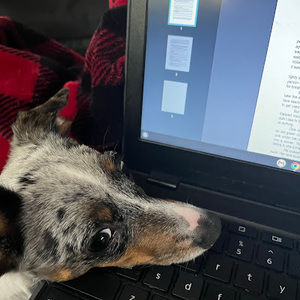 Meet your Posher, Chelsea